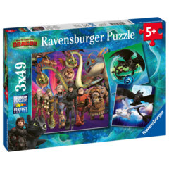 How to Train Dragons 3x49pc